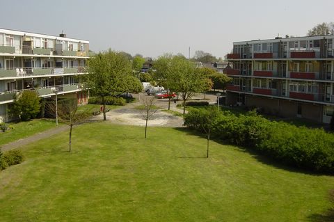 12.DSC05775.JPG