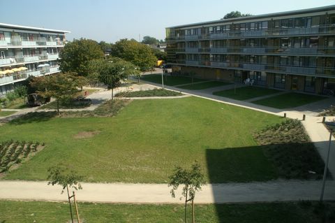 12.PICT2990.JPG