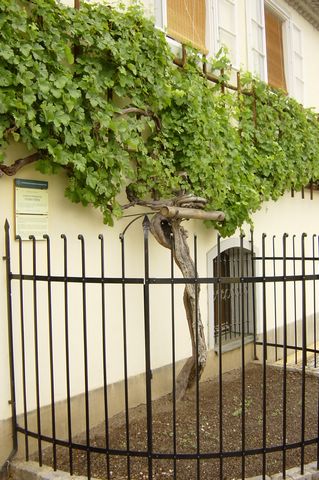 Maribor2005 (076).JPG
