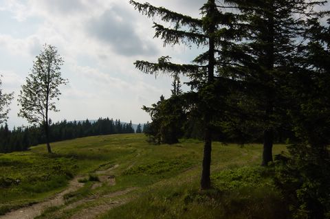 Maribor2005 (123).JPG