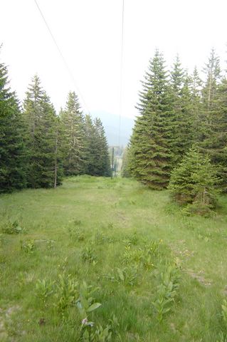 Maribor2005 (130).JPG
