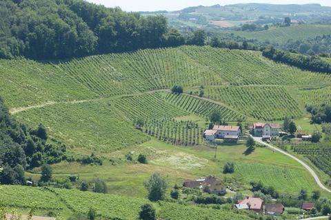 Maribor2005 (163).JPG