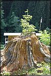 Maribor2005 (108).JPG