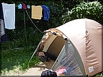 125.In schaduw van bosrand met waslijn! - 2499.jpg