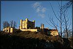 PICT4443.JPG