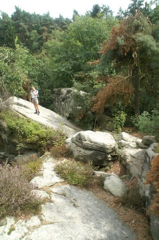 PICT2493.JPG