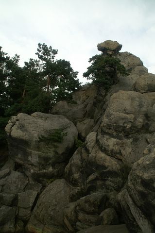PICT2497.JPG
