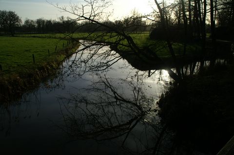 PICT3703.JPG