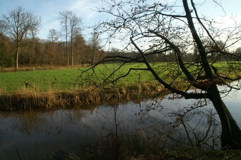 PICT3706.JPG