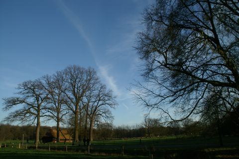 PICT3713.JPG