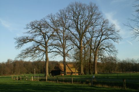 PICT3718.JPG