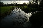 PICT3703.JPG