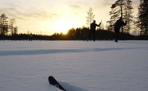 DSC05406crop.jpg