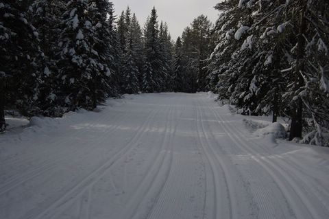 DSC05452.JPG