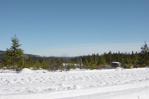 DSC05477.JPG