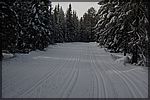 DSC05452.JPG
