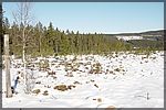 DSC05475.JPG