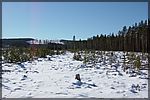 DSC05476.JPG