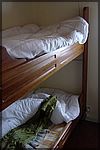DSC05490.JPG